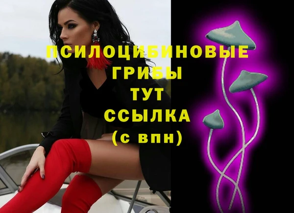 гашик Карпинск