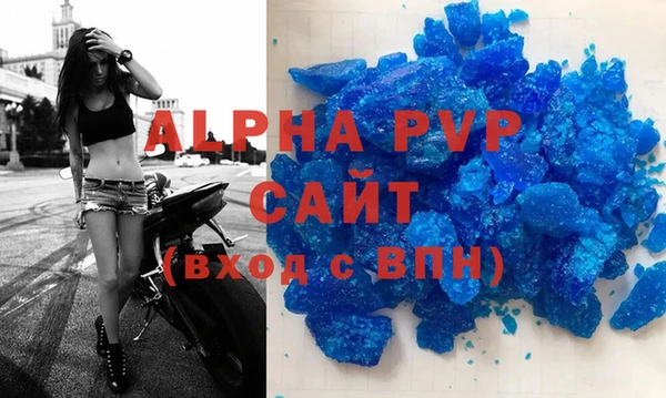 гашик Карпинск