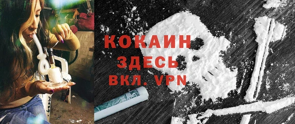 гашик Карпинск