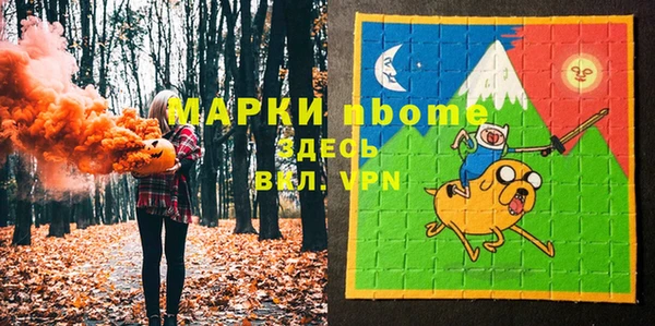 гашик Карпинск