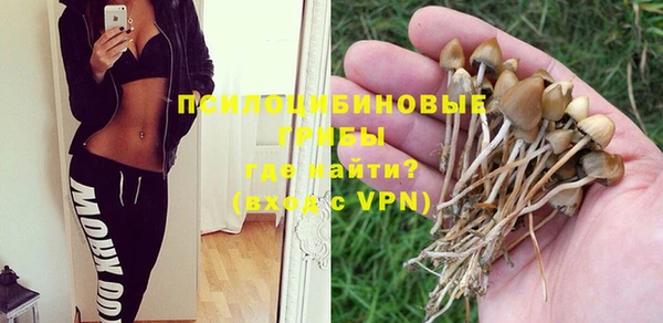 мяу мяу мука Карталы
