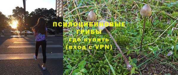 apvp Киренск