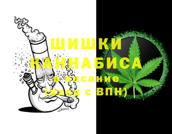 гашик Карпинск
