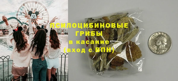 гашик Карпинск