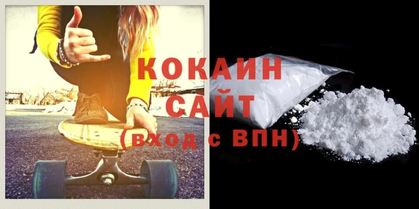 гашик Карпинск