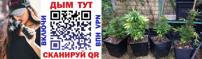 Купить закладки  Дятьково  Шишки марихуана THC 21% 